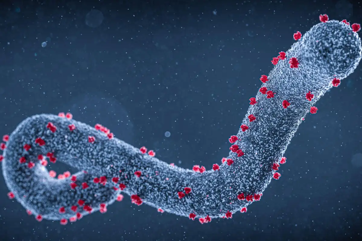 Marburg Virus Research Laboratory